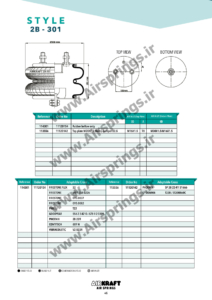 airkraft 2B-301-46