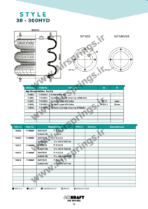 airkraft 3B-300-HYD