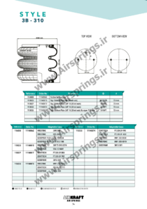 airkraft 3B-310-74